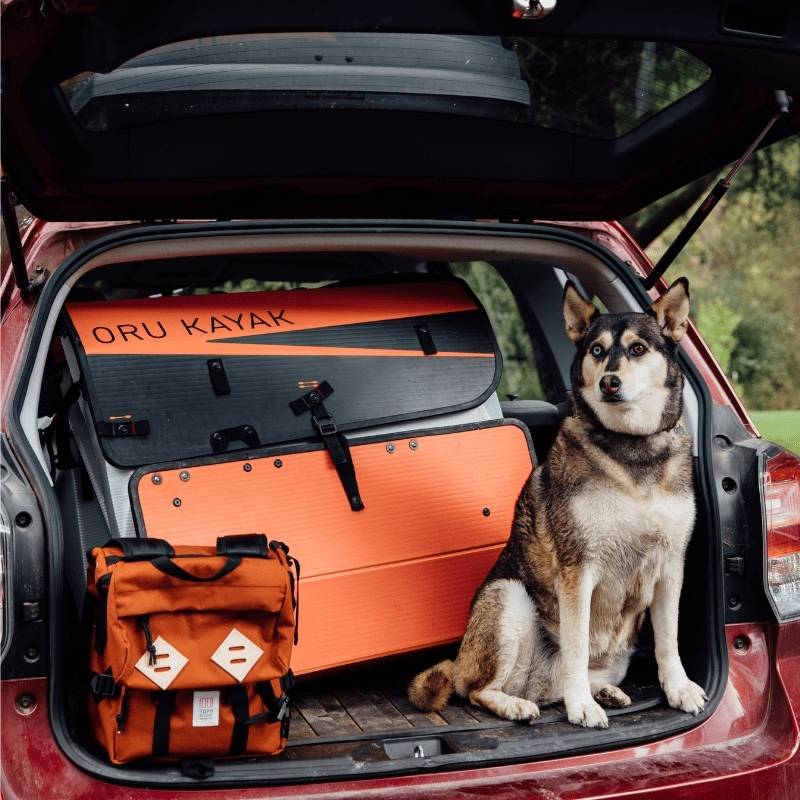 Oru Kayak Haven TT folded in car with dog sitting beside it